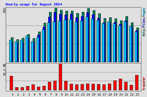 Hourly usage for August 2024